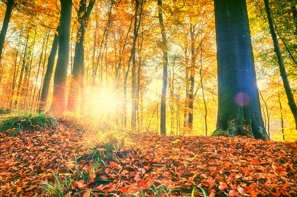 عکس خفن عکس طلوع خورشید در پاییز