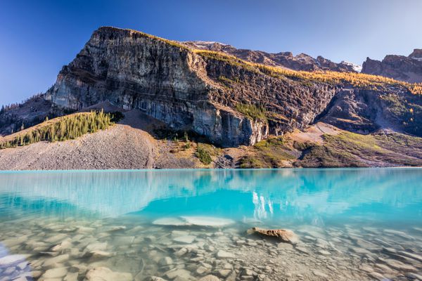 آب فیروزه‌ای دریاچه لوئیز در پارک ملی بنف آلبرتا کانادا
