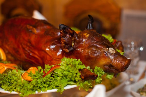 خوک کامل پخته شده جوان با ترد معطر که روی یک غذای جشن با سبزیجات تازه خوابیده است