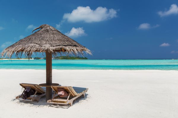 پالاپا و تخت های آفتابگیر در ساحل مالدیو
