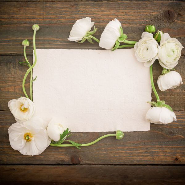 کارت پستال کاغذی و گل های سفید در پس زمینه درختی تخت خوابیده نمای بالا پس زمینه قدیمی