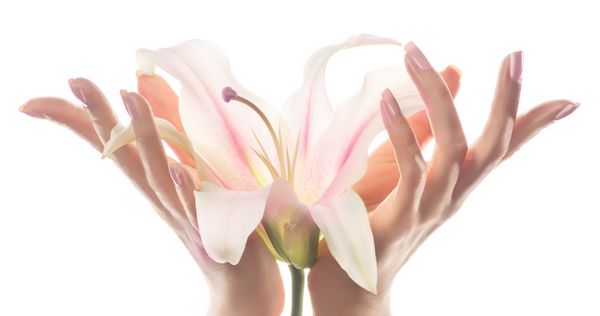 مراقبت از پوست دست نمای نزدیک از دست های زن زیبا با مانیکور صورتی روشن روی ناخن کرم دست و درمان گل زنبق ظریف در دستان ظریف و برازنده با انگشتان مهربان
