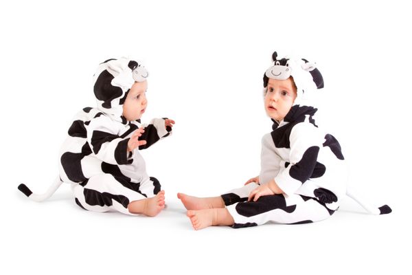 دو نوزاد با لباس فانتزی گاو در زمینه سفید