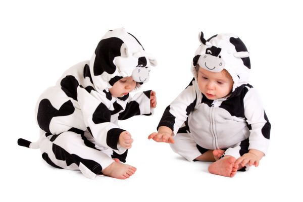 دو نوزاد با لباس فانتزی گاو در زمینه سفید