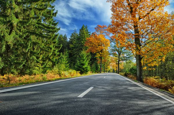 منظره رنگارنگ پاییزی با جاده