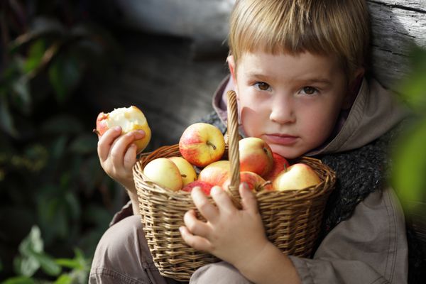 پسری با یک سبد سیب در دست