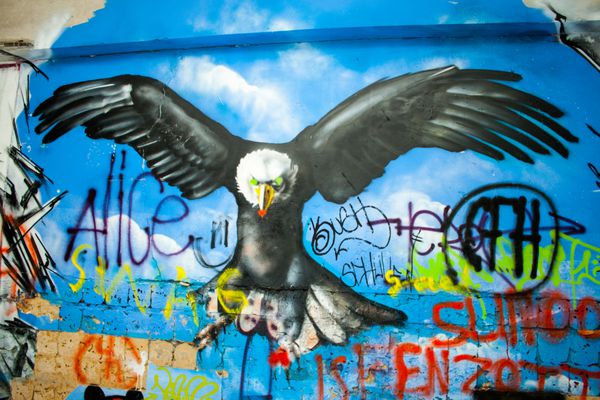 گرافیتی عقاب در یک ساختمان متروکه کارخانه