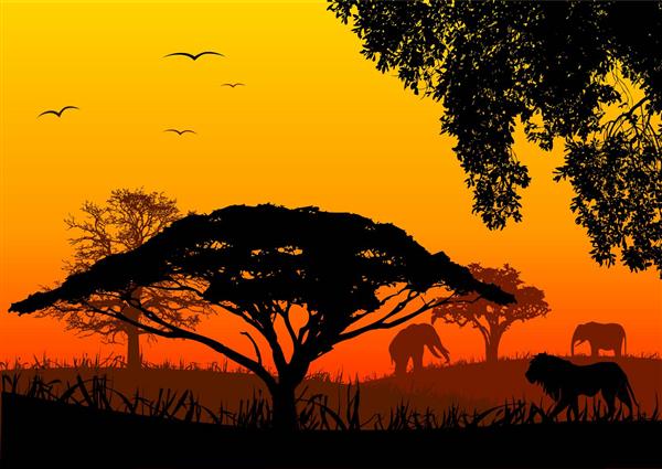 منظره آفریقا و حیات وحش