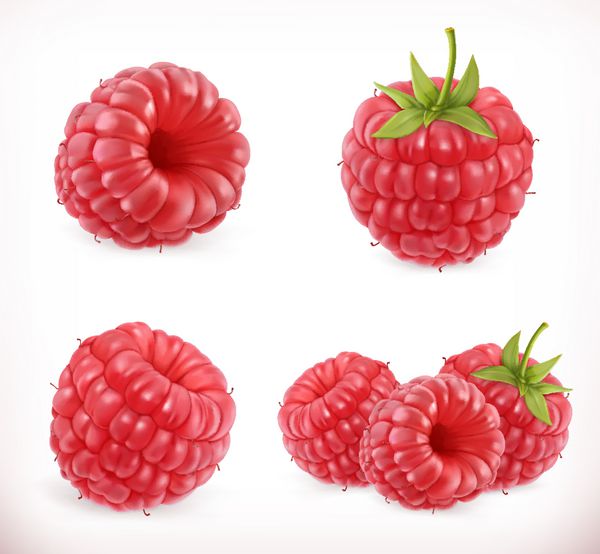 تمشک میوه شیرین مجموعه آیکون های وکتور سه بعدی تصویر واقعی