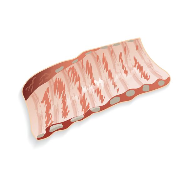 یک تکه گوشت خوک تازه خوشمزه در زمینه سفید برای استفاده a