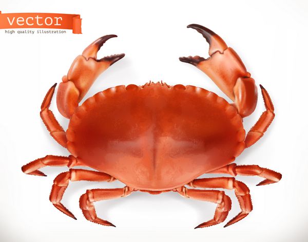 خرچنگ قرمز نماد وکتور سه بعدی غذاهای دریایی سبک رئالیسم