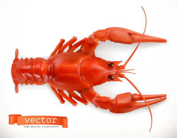 خرچنگ قرمز نماد وکتور سه بعدی غذاهای دریایی سبک رئالیسم
