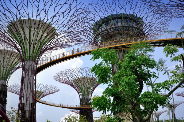 سنگاپور-آگوست 05 روز مشاهده از بیشه Supertree در باغ توسط خلیج در آگوست 05 2012 در سنگاپور فراگیر مینیمم هکتار 101 و پنج دقیقه پیاده روی از Bayfront MRT ایستگاه