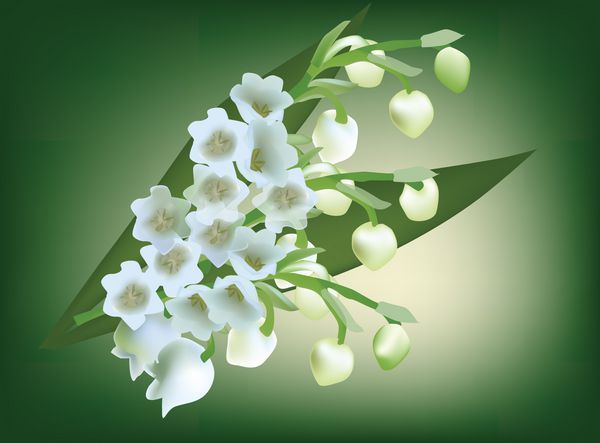 تصویر سبز با دسته گل زنبق