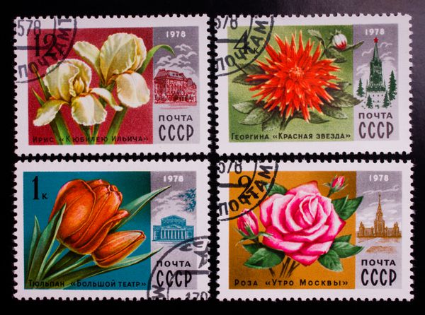 اتحاد جماهیر شوروی CIRCA 1978 تمبر چاپ شده در اتحاد جماهیر شوروی نشان می دهد انواع مختلف گل حدود 1978