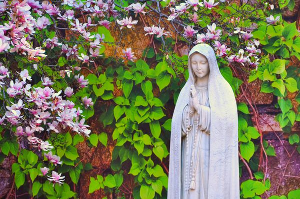 مجسمه مریم مقدس با گلهای موناولیا در پس زمینه عکس گرفته شده در کلیسای کاتولیک روم سنت لئونارد بوستون ایالات متحده آمریکا