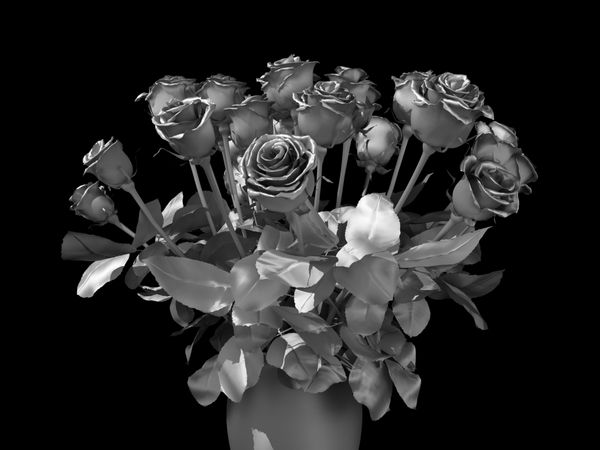 گل رز نقره در یک پس زمینه سیاه و سفید