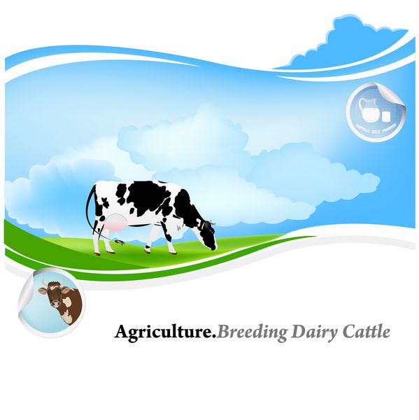 FarmingBreeding لبنیات CattleVector پس زمینه