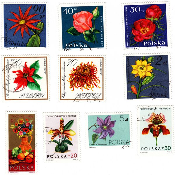 تمبرهای پست قدیمی از لهستان با گل های عجیب و غریب تنظیم شده است