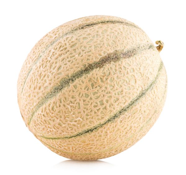خربزه cantaloupe جدا شده بر روی زمینه سفید