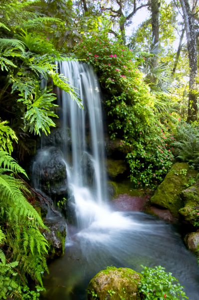 آبشار طبیعی بهاری