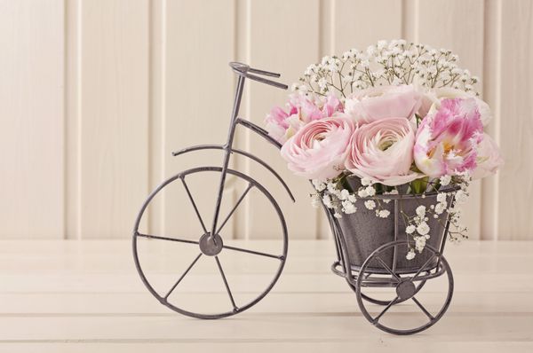 گل Ranunculus در یک گلدان دوچرخه