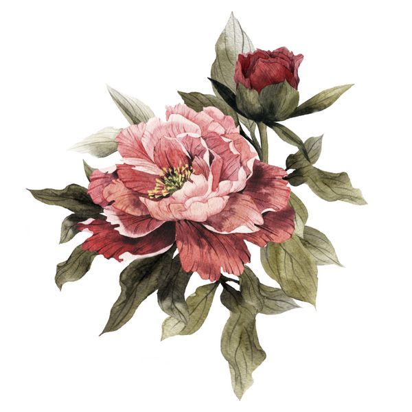 دسته گلهای گلدار آبرنگ می تواند به عنوان کارت تبریک دعوت نامه برای عروسی تولد و دیگر تعطیلات و تابستان استفاده شود