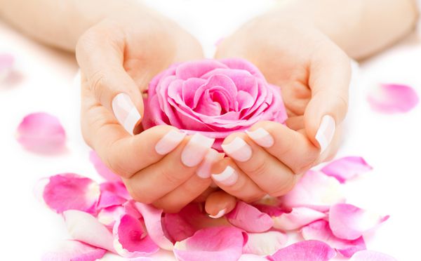 Manicure and Hands Spa Beautiful Woman hands closeup Manicured nails and Soft skin Beauty hands with rose flower petals Beauty treatment Beautiful woman