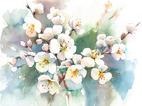 شکوفه های شکوفه های پرنعمت گل دست نقاشی آبرنگ