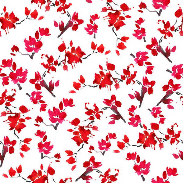 بردار بدون درز شکوفه های گیلاس پس زمینه گل گل قرمز نماد بهار ژاپنی گیلاس ساکورا شاخه گل آبرنگ شکوفه