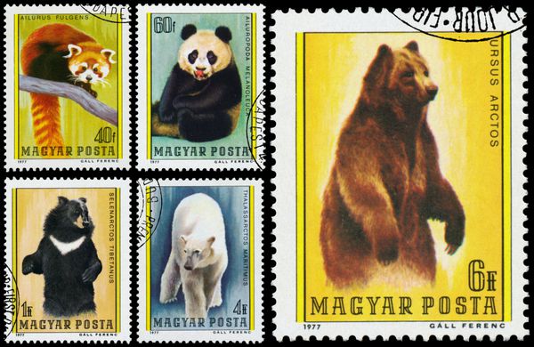 مجارستان CIRCA 1977 مجموعه ای از تمبرهای چاپ شده در مجارستان نشان می دهد خرس حدود 1977