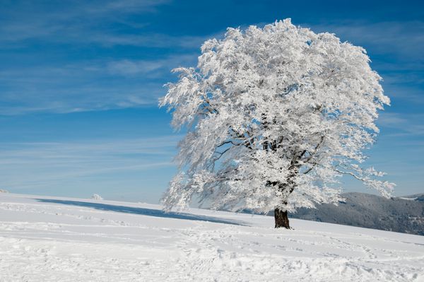 زیبایی زمستان