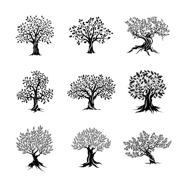 زیبا با شکوه زیتون و درختان بلوط جدا شده بر روی زمینه سفید علامت مدرن مدرن Infographic مدرن وب لوگو با کیفیت بالا لوگو طراحی مفهوم مجموعه ای از pictogram