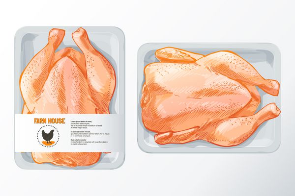 گوشت تازه مرغ بسته بندی پلی استایرن سفید قالب برداری بردار پرنعمت بردار جدا شده بر روی زمینه سفید