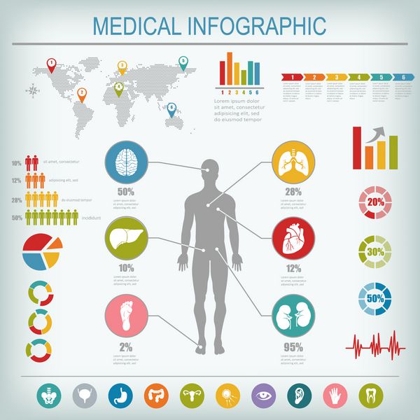 عناصر infographics پزشکی بدن انسان با اندام های داخلی تصویر برداری