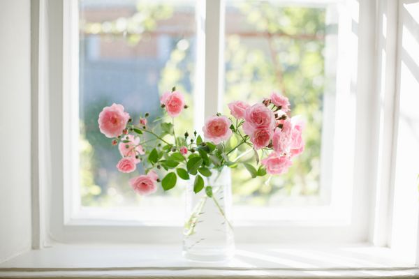 دسته گل رز تابستان در گلدان شیشه ای در نزدیکی پنجره