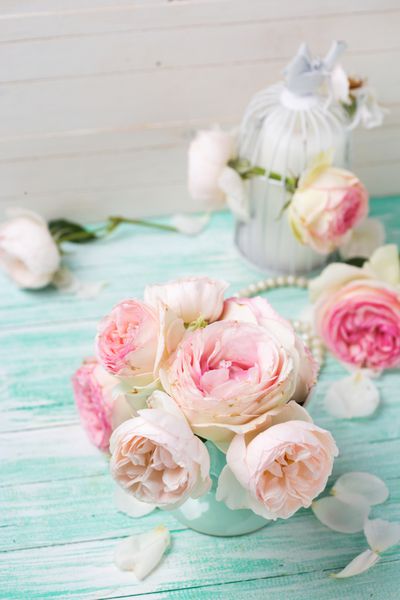 پس زمینه با گل رز صورتی شیرین در گلدان بر روی دیوار سفید رنگ چوب فیروزه ای شیک شیک تمرکز انتخابی