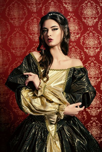 بانوی زیبای جوان در لباس گرانقیمت و گرانبها قرار داده شده است رنسانس باروکو روش
