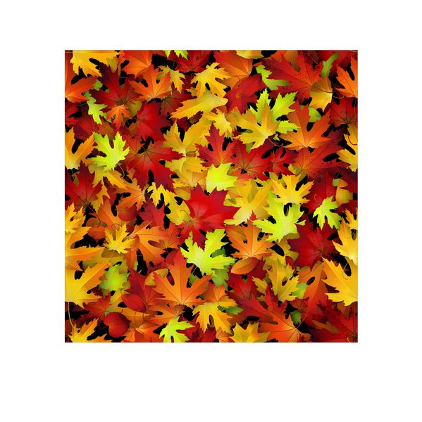 طراحی پس زمینه با برگ های رنگارنگ پاییز پس زمینه طبیعی الگوی بدون درز