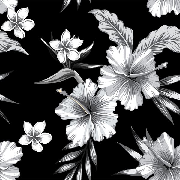 گل های Hibiscus Tropic پلومریا و پرنده بهشتی در ترکیب با برگ های مومی خرما نسخه مدرن بدون درز الگوی گلدار بدون درز در سبک سیاه و سفید