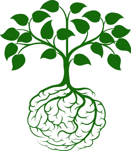یک درخت رو به رشد از rooots شکل مغز انسان است