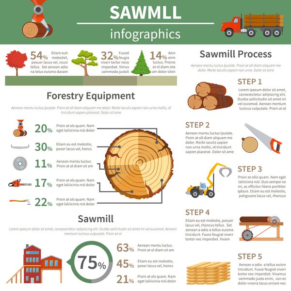 Infographics جنگل جنگل با مشخصات مشخصات از تصاویر تجهیزات حرفه ای لبه درخت و مراحل پردازش تصویر برداری