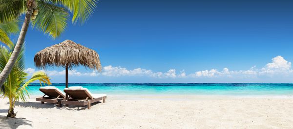 صندلی و چتر در Palm Beach بنر تعطیلات گرمسیری