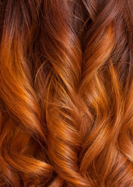 زیبا سالم طولانی فرفری موهای قرمز نزدیک است فر با قیچی پیچش زدن ایجاد کنید مراقبت از مو حرفه ای