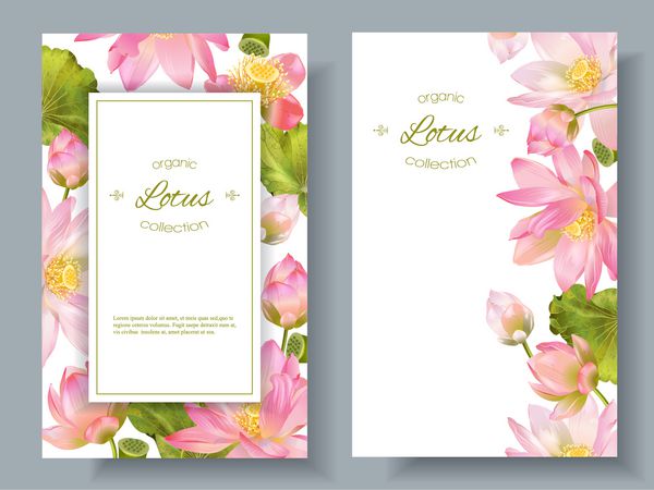 آگهی بردار های گیاهی با گل لوتوس صورتی طراحی لوازم آرایشی طبیعی مراقبت های بهداشتی و داروهای آیورودا مرکز یوگا می تواند به عنوان کارت تبریک یا دعوت عروسی استفاده شود