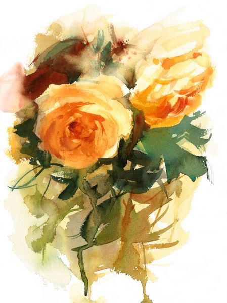 آبرنگ گل رز زرد گل گل پس زمینه بافت دست نقاشی تصویر