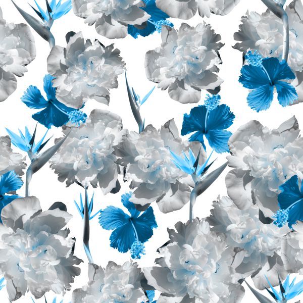 زرق و برق دار گل شکوفه الگوی peonies شگفت انگیز کلاژ عکس کار هنری پس زمینه بدون شک شکوفه یکپارچهسازی با سیستمعامل یکپارچهسازی با سیستمعامل