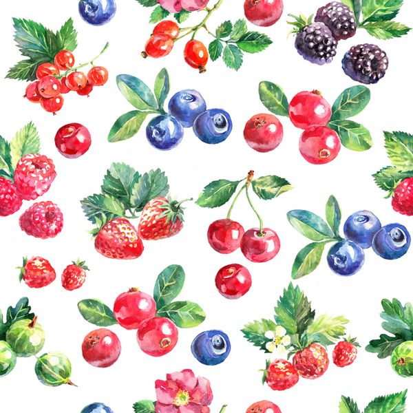 آبرنگ دست کشیده شده توت الگوی بدون درز نقاشی میوه تصویر جدا شده بر روی زمینه سفید