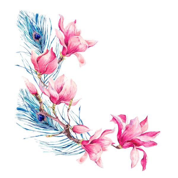 آبرنگ گل کارت پستال گل رز برگ گل گل مگنولیا شاخه برگ و طاووس تصویر آبرنگ گیاهی در پس زمینه سفید