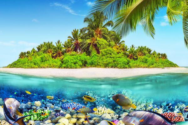 جزیره گرمسیری در داخل اتول در اقیانوس های گرمسیری و جهان فوق العاده و زیبا در زیر آب با مرجان ها و ماهی های گرمسیری